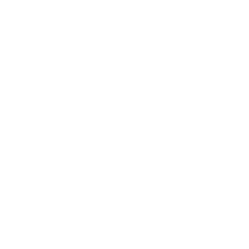 BME MIS — Qatar